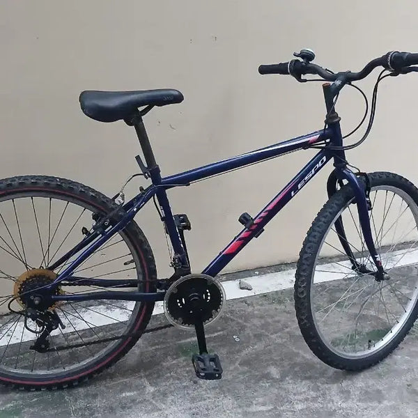 [BUNJANG] Lespo Typhoon 24-inch Bicycle / 레스포 태풍 24인치 자전거
