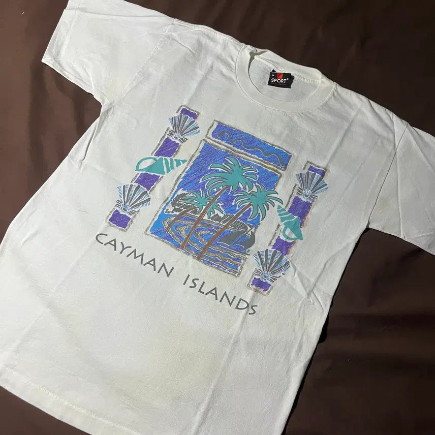 [BUNJANG] 90s Single Stitch Vintage T-Shirt / 90S 싱글스티치 빈티지 티셔츠-c006