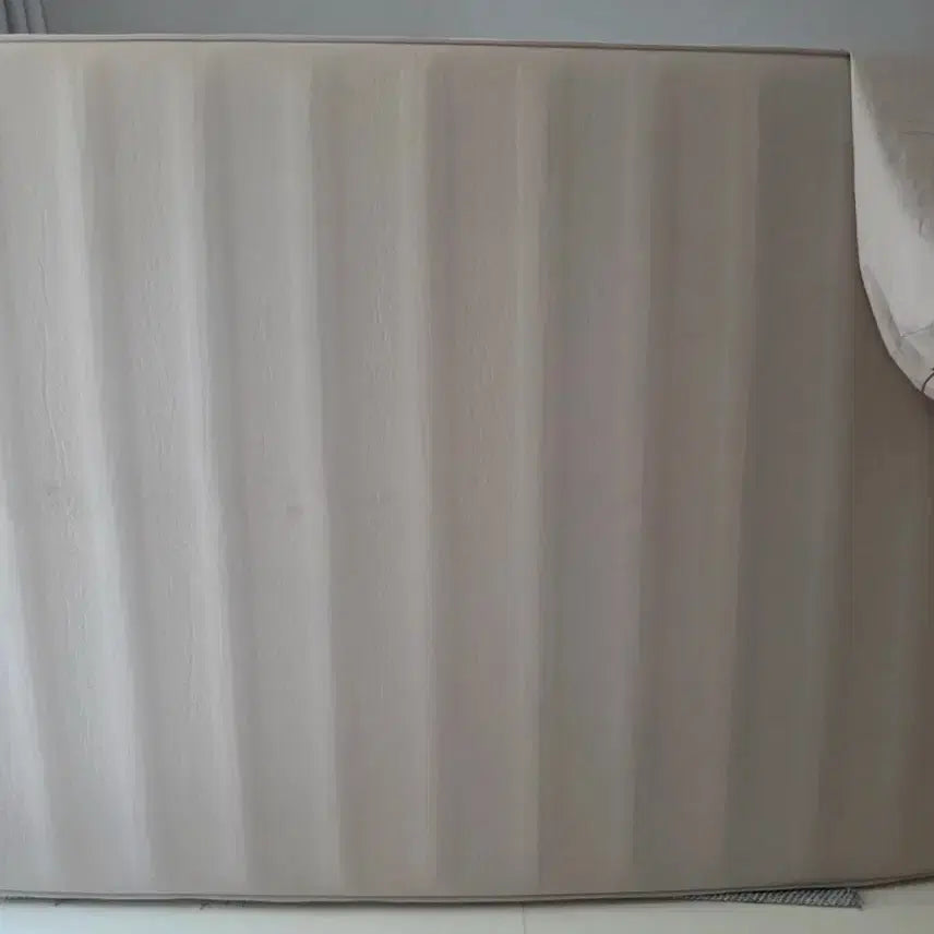 [BUNJANG] Naturehike Self-Inflating Double Mattress 10cm / 네이처하이크 자충 매트리스 더블 10cm 10t