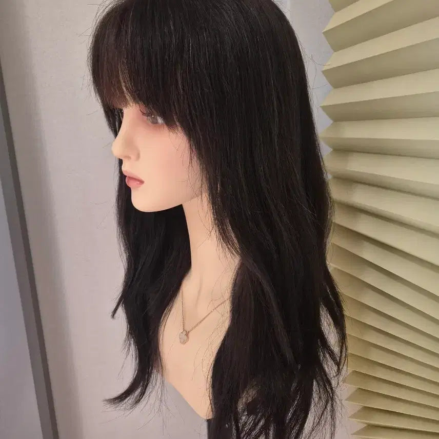 [BUNJANG] Gabalnara 100% Human Hair Full Wig See-Through Bangs Natural Black / 가발나라 레이스프론트 통가발 [인모100%] 앞머리 시스루뱅형태[내루철블럭]
