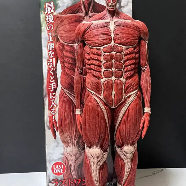[BUNJANG] Attack on Titan Last One Prize Extra Large Titan Figure / 진격의거인 제일복권 라스트원 초대형거인 피규어