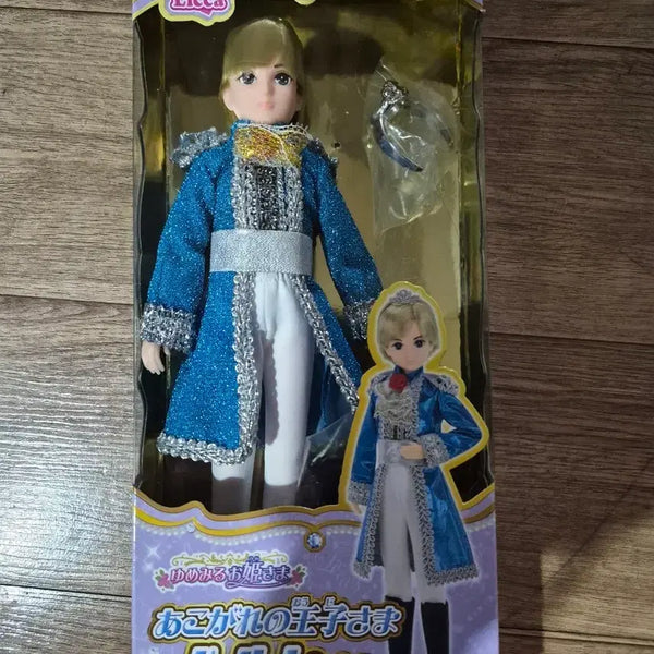 [BUNJANG] Takara Tomy Prince Doll / 리카 타카라토미 왕자님 인형