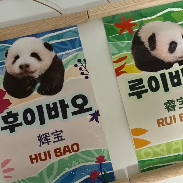 [BUNJANG] Rui Bao & Hui Bao Scroll Bundle Set / 루이바오 후이바오 족자 일괄판매