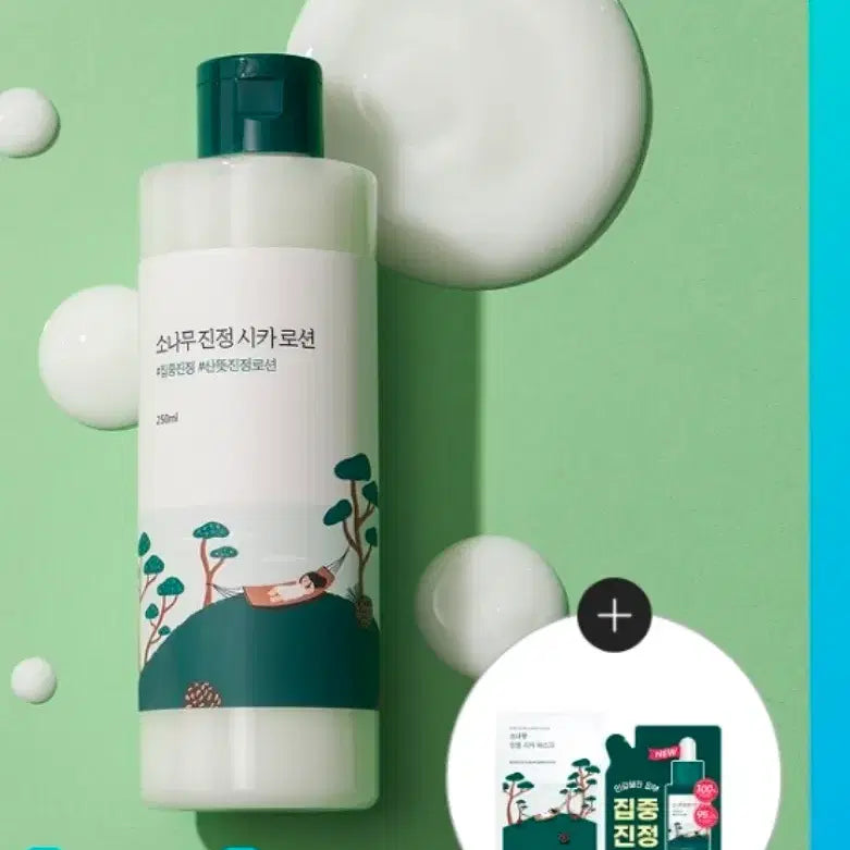 [BUNJANG] Round Lab Pine Calming Cica Lotion Set / 라운드랩 소나무 진정 시카 로션