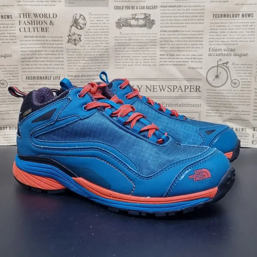 [BUNJANG] The North Face Dynamic Gore-Tex Hiking Boots 250 / 노스페이스 디이나믹 고어텍스 등산화 250