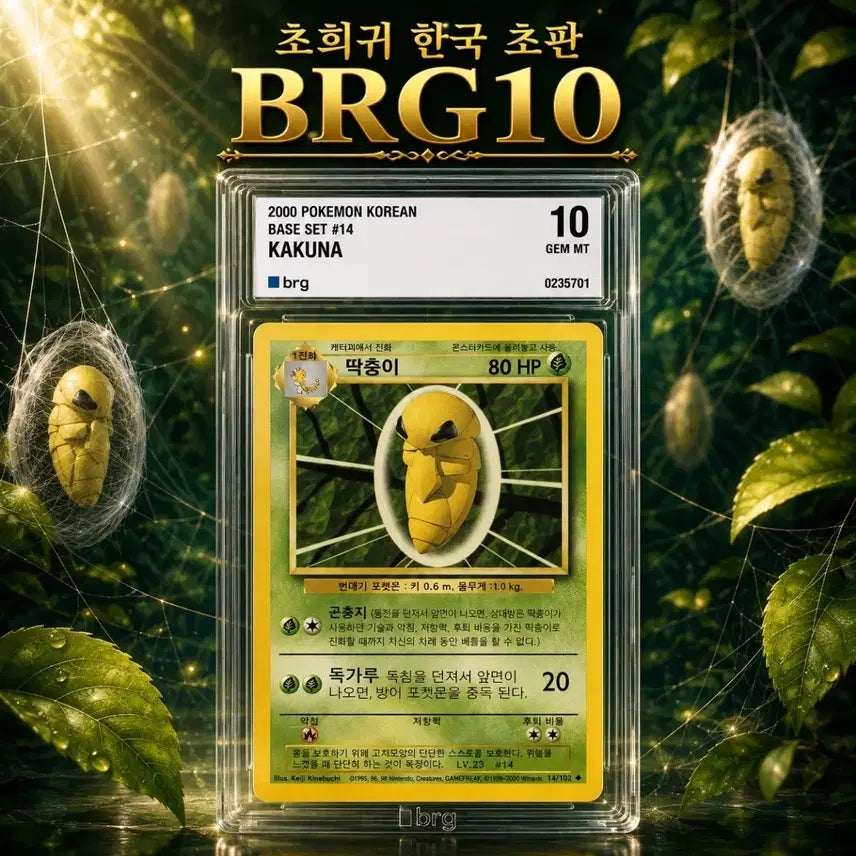 [BUNJANG] Limited Edition BRG10 POP2 "Ttakchung-i" Photocard / [ 초판 BRG10 POP2 ] 딱충이