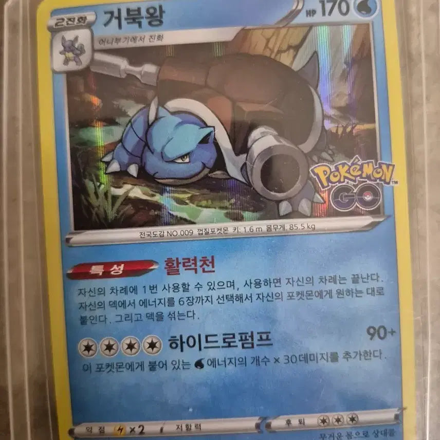 [BUNJANG] Pokemon GO Blastoise Card / 포켓몬 고 거북왕 카드