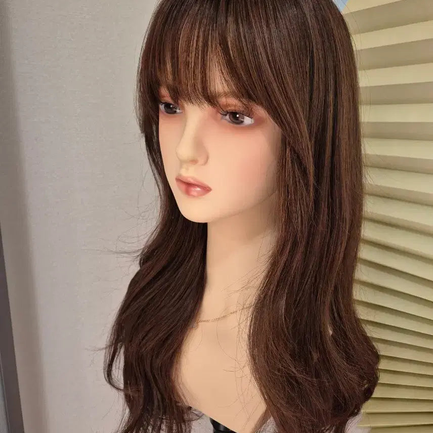 [BUNJANG] Pink Age Full Cap Wig [A-Perm Ellie] Brown Gradient / 핑크에이지 완수제통가발 [에이펌 엘리] 브라운그라데이션