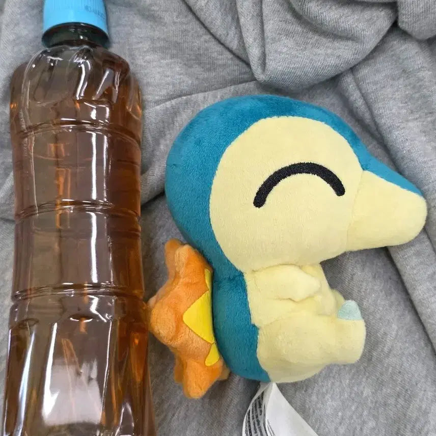 [BUNJANG] Pokemon Cyndaquil Plush Doll 2015 Dolls "Super Secret Base" Theme / 고전 포켓몬 브케인 인형 비밀기지 슈퍼비밀기지 누이 2015 돌즈