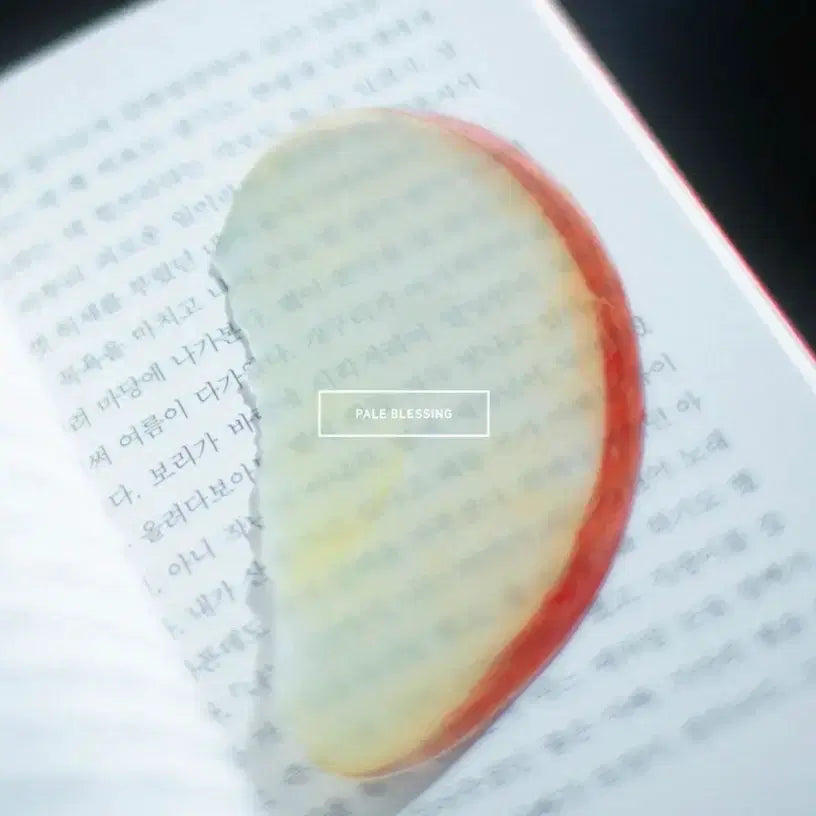 [BUNJANG] Lee Okto Apple Bookmark / 새상품) 이옥토 사과 책갈피
