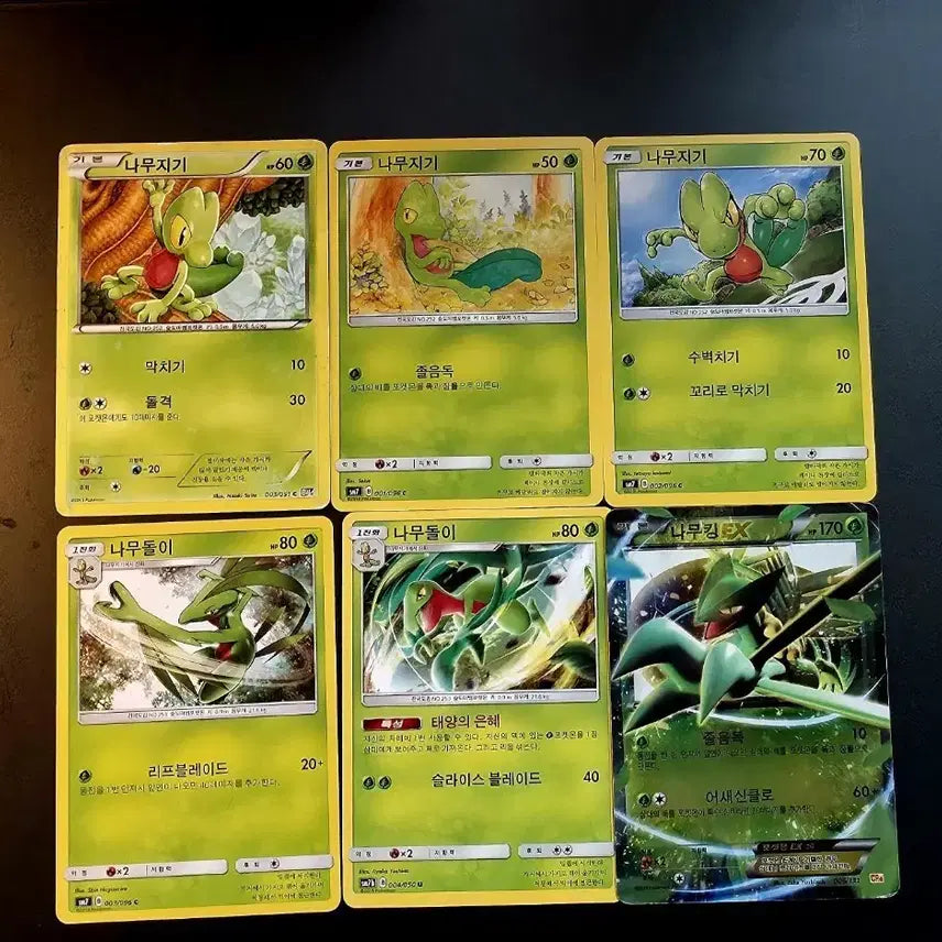 [BUNJANG] Pokemon Card BW, Sun & Moon Treecko, Grovyle, Sceptile EX Evolution Set (6 Types) / 포켓몬카드 BW,썬문 나무지기 나무돌이 나무킹 EX 진화 세트