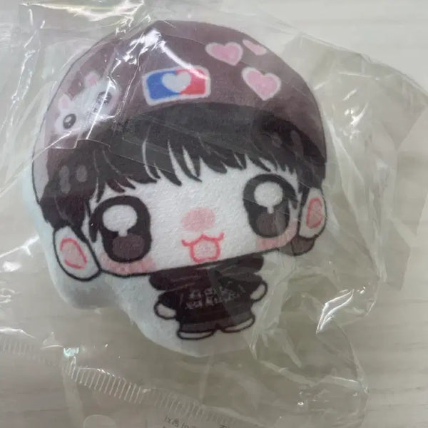 [BUNJANG] Park Ji Hoon Unofficial Ball Cap Doll / 박지훈 비공굿 왕사남 볼캡 인형 양도