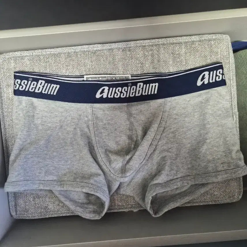 [BUNJANG] Oji Beom Grey Drawers Men's Underwear / 오지범 그레이 드로즈 남자팬티