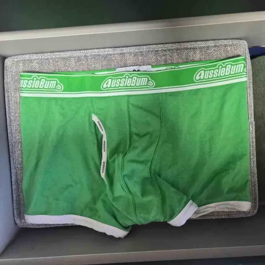 [BUNJANG] Ojibum Lime Boxer Briefs / 오지범 라임 드로즈 남자팬티