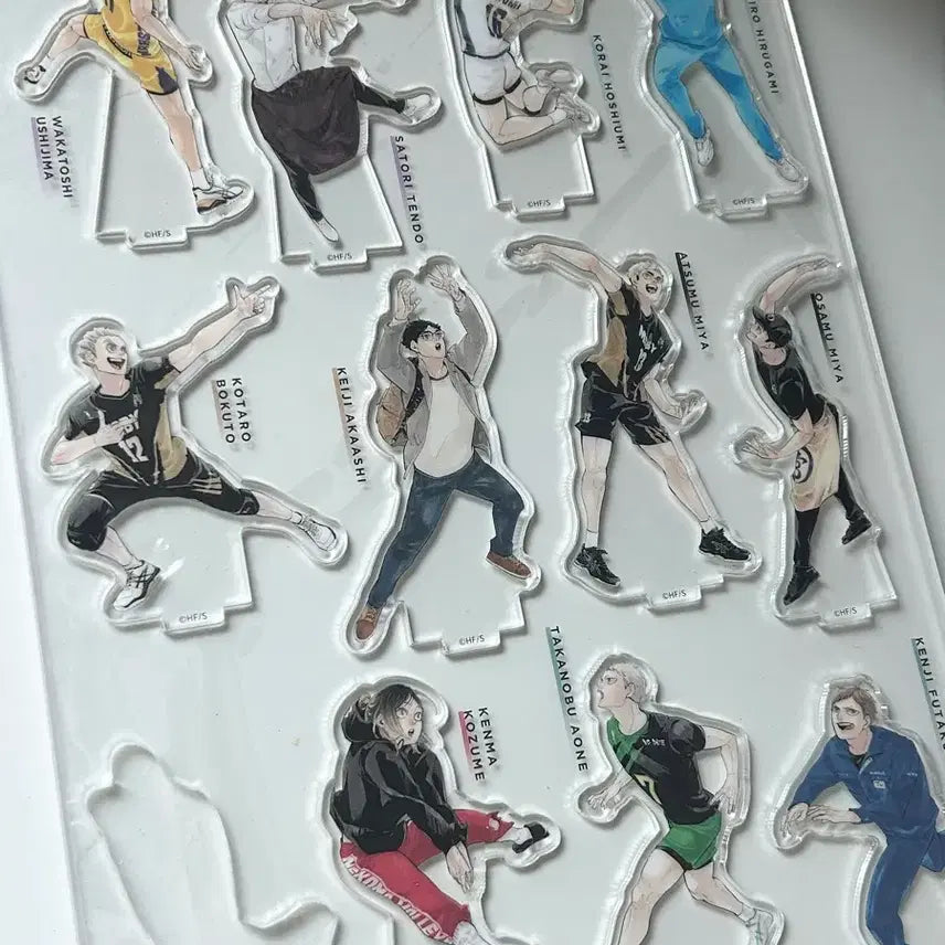 [BUNJANG] Haikyuu!! 10th Anniversary Chronicle Set / 하이큐 10주년 크로니클 전체 세트