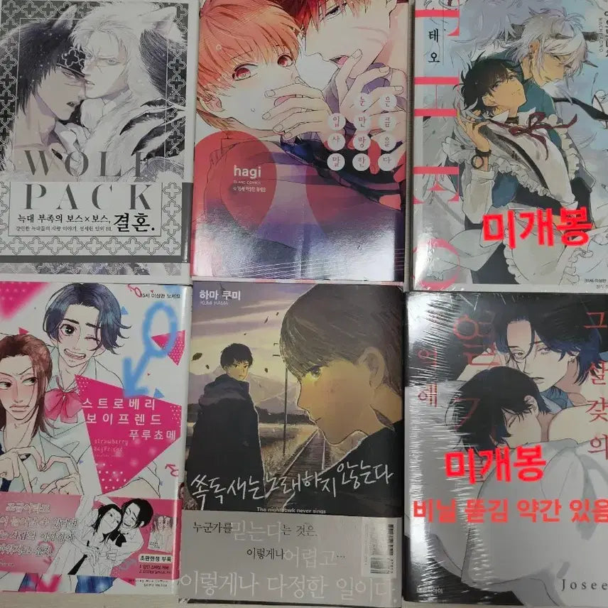 [BUNJANG] Teo, Sokdoksae BL Comic Book Bundle Set / BL 만화책 판매 양도 테오, 쏙독새