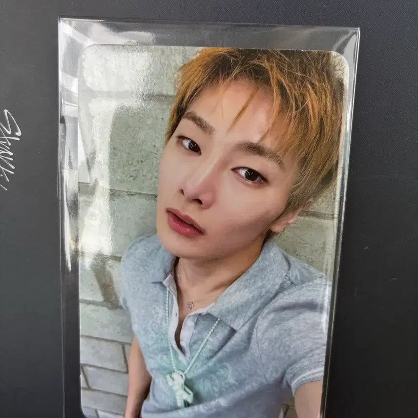 [BUNJANG] Stray Kids SKZ I.N In My Own World Music Show Photocard / 아이엔 디스앤댓 사녹 공방포카 양도 스트레이키즈 스키즈 아이엔 I.N