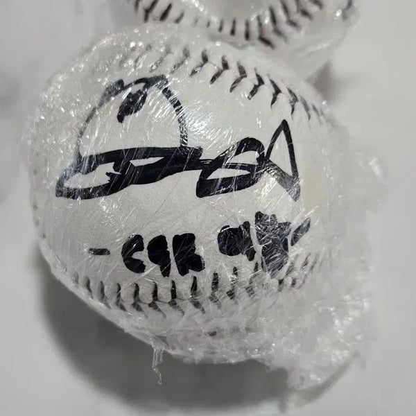 [BUNJANG] CSR Yeham Autographed Ball - Kiwoom Heroes / 첫 사랑 CSR 예함 키움 히어로즈 싸인볼