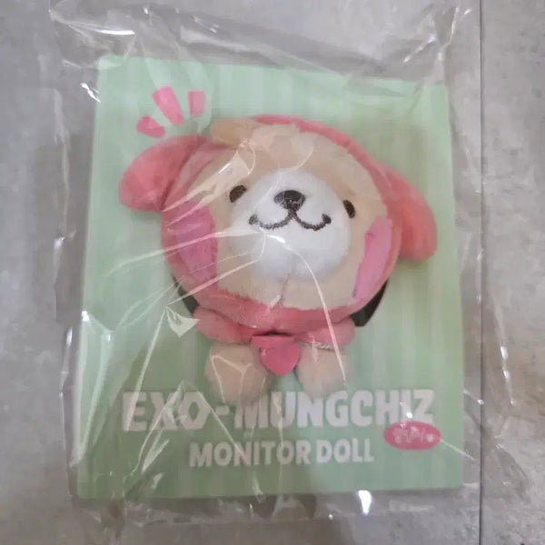 [BUNJANG] EXO Chanyeol Ddeonggaengyi Monitor Plush Doll (Sealed) / 엑소 뭉치즈 찬열 열댕이 모니터 인형 미개봉 양도