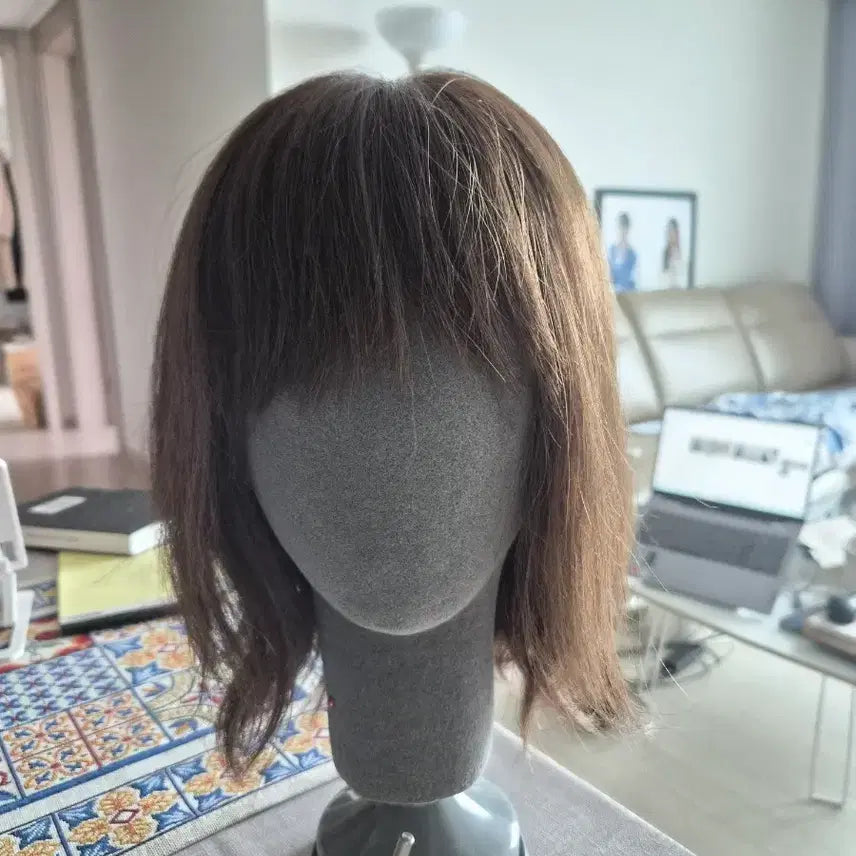 [BUNJANG] HIMO 100% Human Hair Wig - Milk Brown / 하이모 인모 100% 여성 가발 브라운