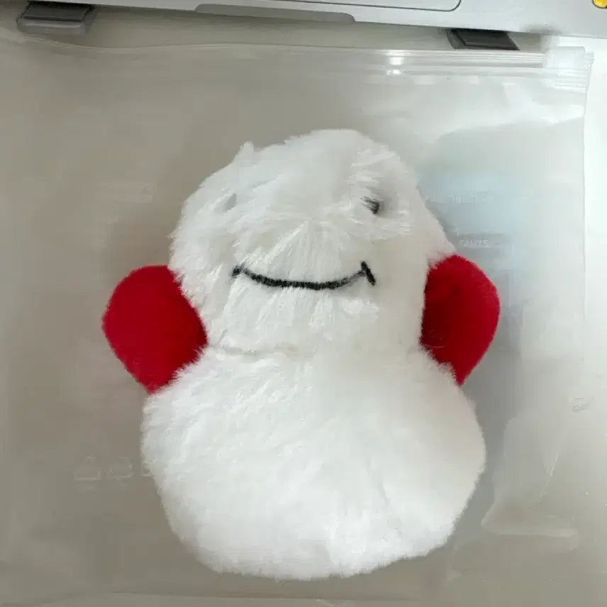 [BUNJANG] BOYNEXTDOOR Woongki 1st Gen Woong-agi Keyring Doll / 급처 일요일까지만 보넥도 보이넥스트도어 쁘넥도 1기 운아기 키링 운학 인형 양도