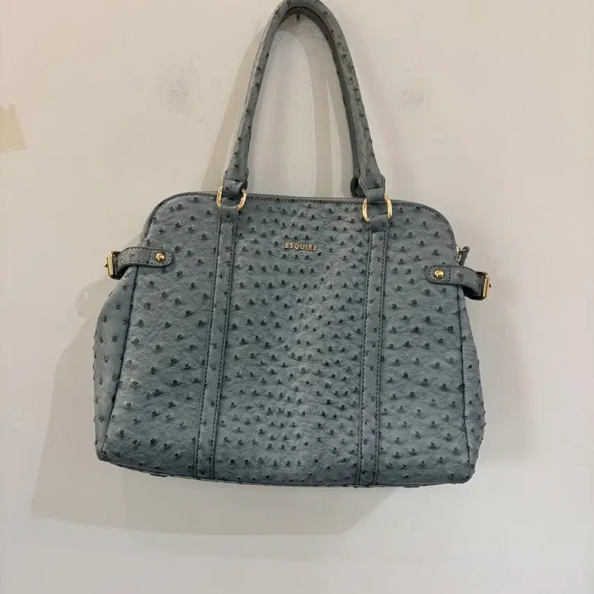 [BUNJANG] Esquire Women's Ostrich Pattern Tote Bag / 에스콰이어 여성 토트백 오스트리치 패턴
