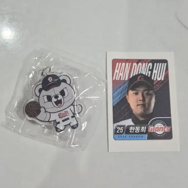 [BUNJANG] Lotte Weldfood KBO Lucky Draw Keychain/Badge Bundle Set / 롯데 웰푸드 kbo램덤굿즈+램덤씰