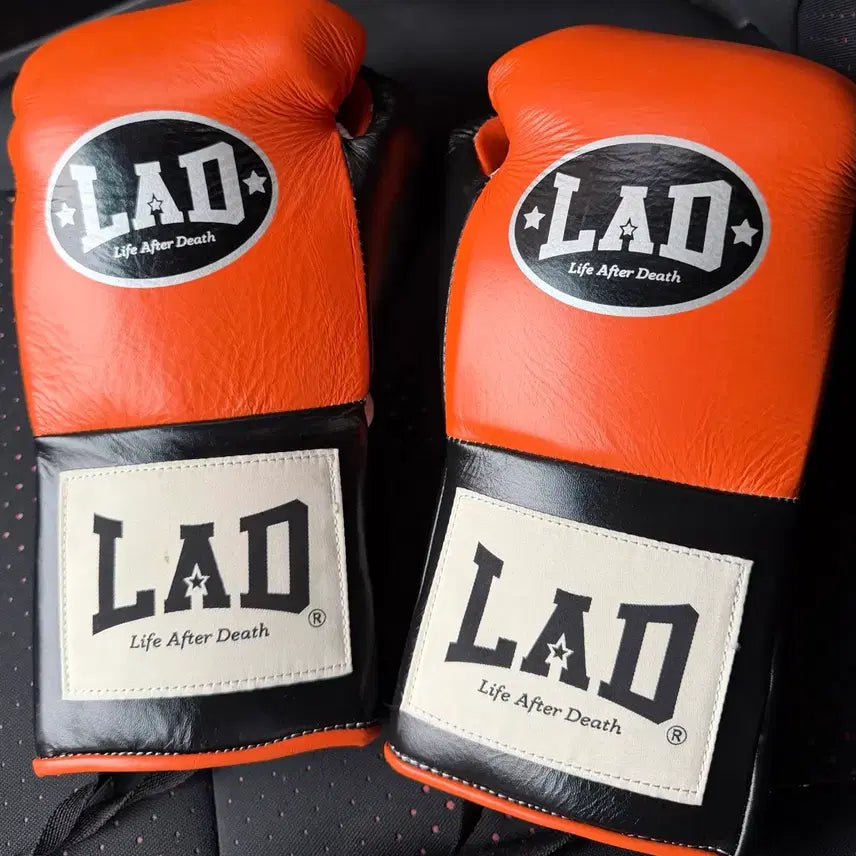 [BUNJANG] LAD 10oz Boxing Gloves / 라드글러브10oz