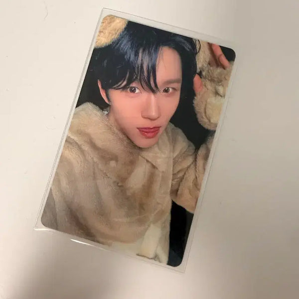 [BUNJANG] WISH Jaehee Melon MUWE Animal Photocard / 위시 재희 멜론 뮤웨 동물 포카