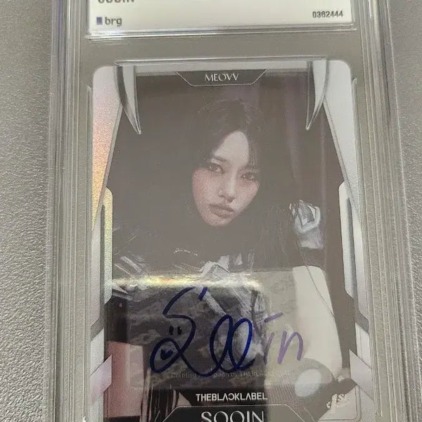 [BUNJANG] Terje Miao Autograph / 테레카 미야오 수인 한정 친필 사인 오토그래프 팝니다.