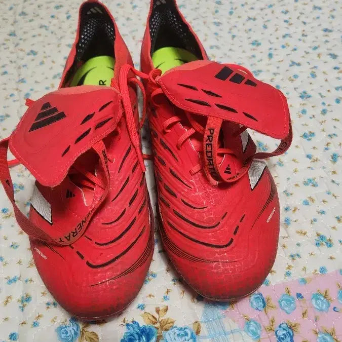 [BUNJANG] Adidas Predator FT Elite FG Soccer Cleats / 아디다스 프레데터 FT 엘리트 275fg 판매합니다