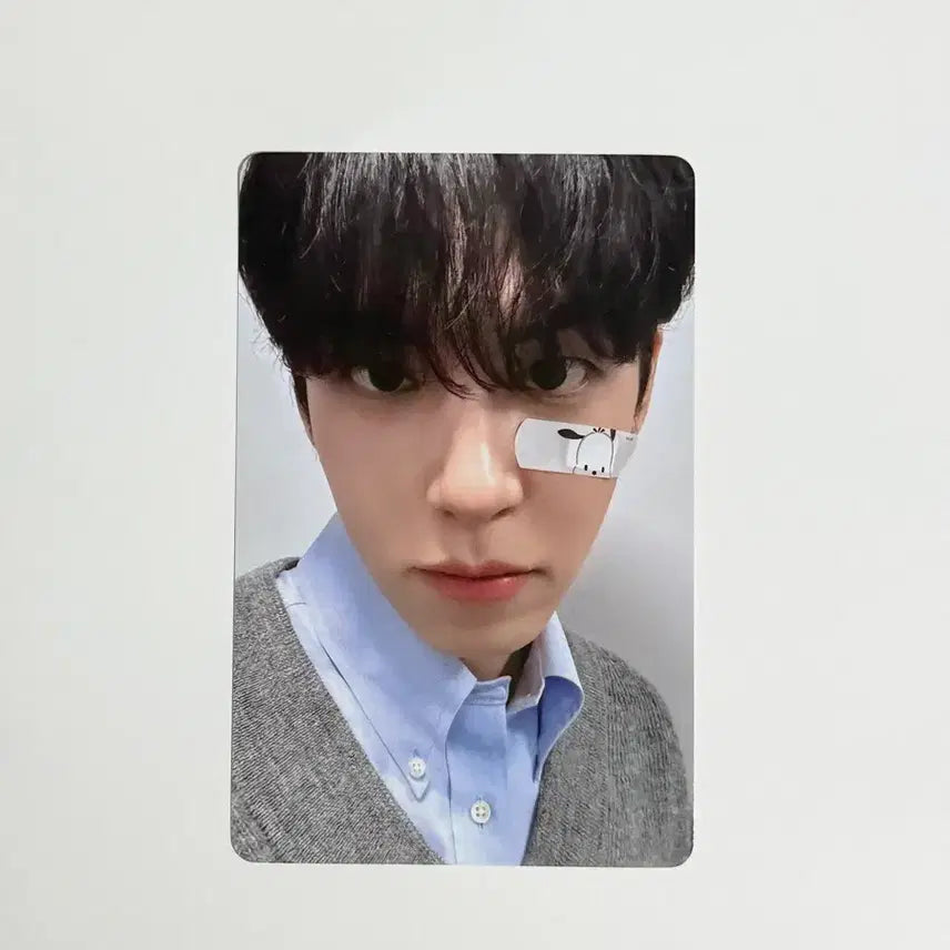 [BUNJANG] Day6 Wonpil Taiwan POB Pochacco Band-Aid Photocard / 데이식스 원필 대만 미공포 포차코 반창고 포카 원필포카