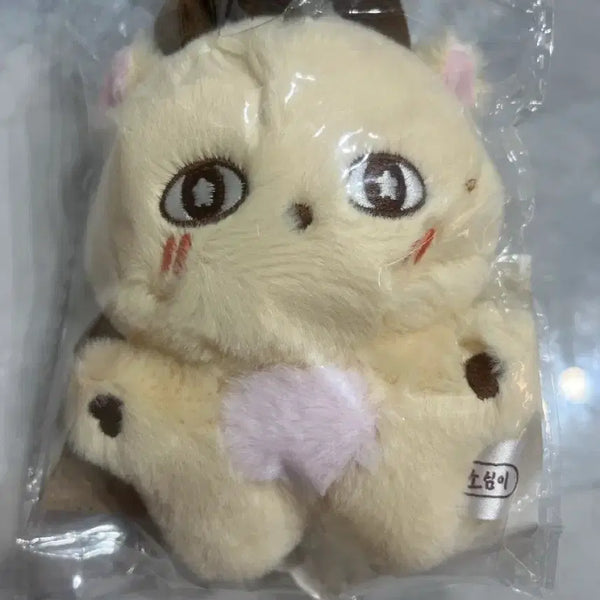 [BUNJANG] Park Ji Hoon 'Sosimi' Doll (Photocard Included) / 박지훈 소심이 인형 판매합니다(포카포함)