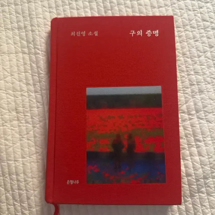[BUNJANG] Choi Jin-young Proof of a Sphere / 구의 증명 최진영