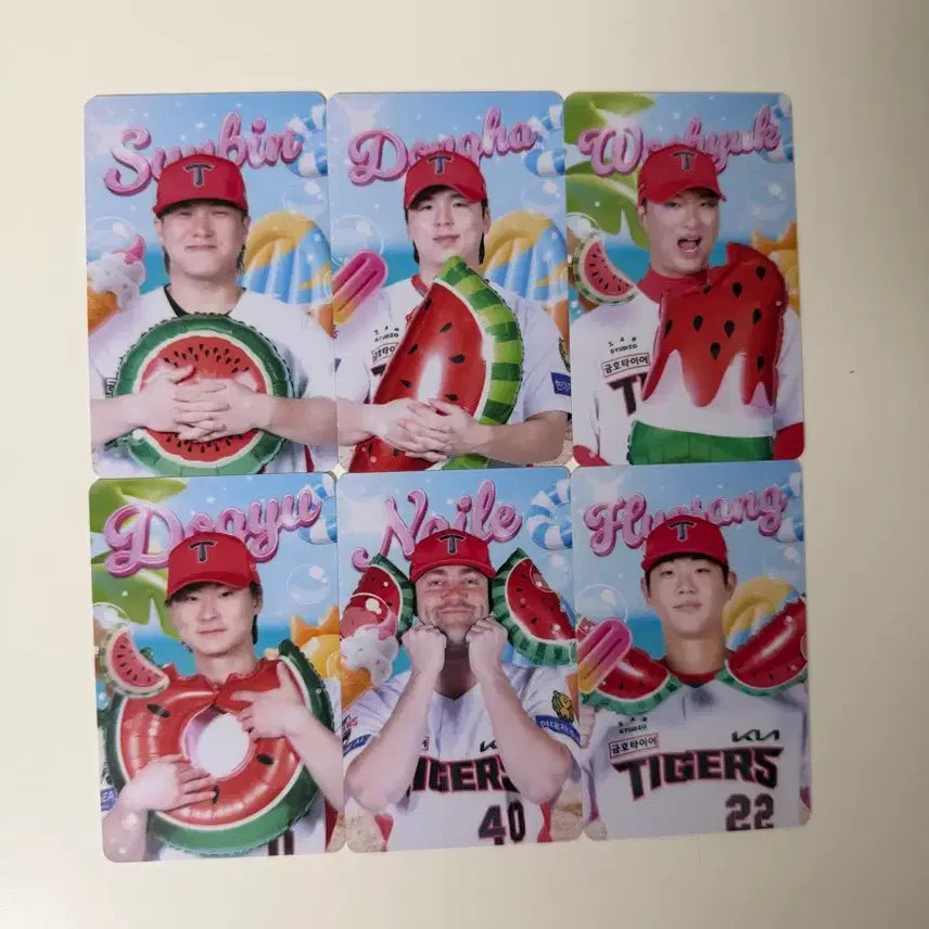[BUNJANG] Kia Summer Nyam Watermelon Photocard / 기아 여름 냠 수박 포토카드 포카 양도
