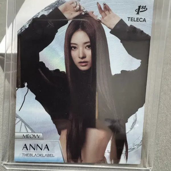 [BUNJANG] Teressa Miao Anna Dicut Card / 테레카 미야오 안나 다이컷