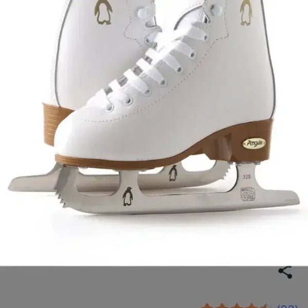 [BUNJANG] Penguin Figure Skates Size 240 / 펭귄 피겨스케이트 240