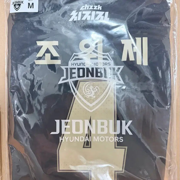 [BUNJANG] Jeonbuk Hyundai 26th Season Third Uniform / 26시즌 전북현대 써드 유니폼
