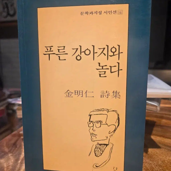 [BUNJANG] Kim Myung-in "Playing with a Blue Dog" First Edition / 푸른 강아지와 놀다 -김명인 1994년 초판