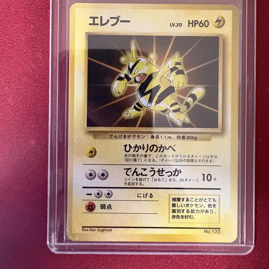 [BUNJANG] Pokemon Card Single - First Edition / 일판 초판 에레키 포켓몬카드 싱글