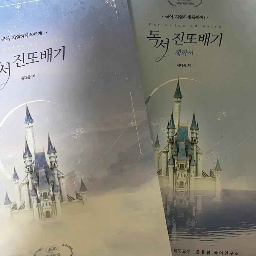 [BUNJANG] Yoo Dae Jong Reading Chehwa Book Set / 유대종 독서 진또배기 체화서 세트