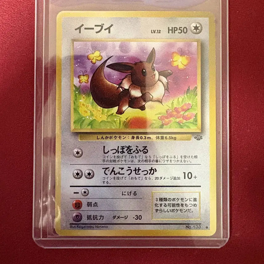 [BUNJANG] Pokemon Jungle Eevee Single Card / 일판 정글 이브이 포켓몬카드 싱글