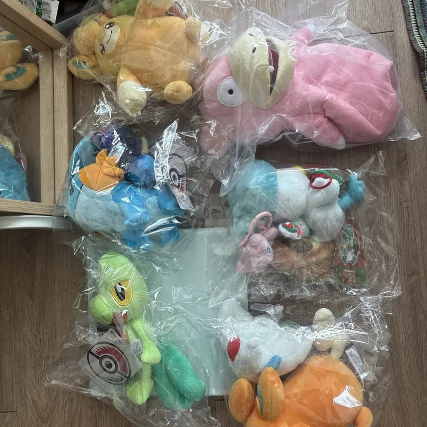 [BUNJANG] Pokemon Center Genuine Plush Doll Bundle Set / 포켓몬센터 정품 인형 11개 일괄  포켓몬스터인형