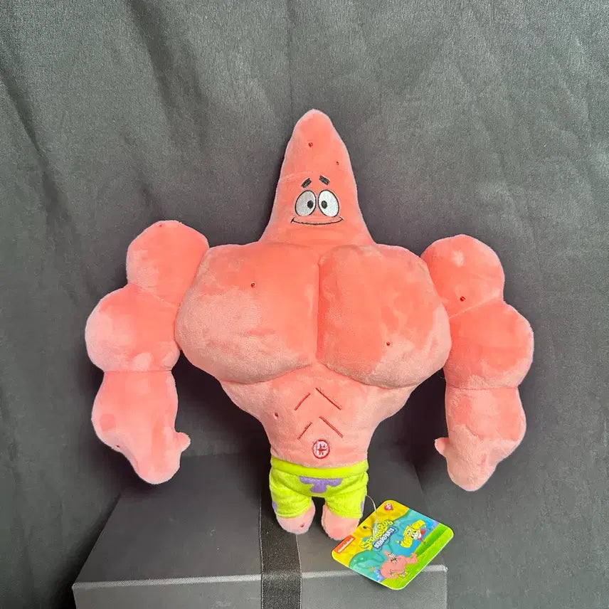 [BUNJANG] SpongeBob Patrick Star Muscle Medium Plush / 스폰지밥 뚱이 근육 중형 인형