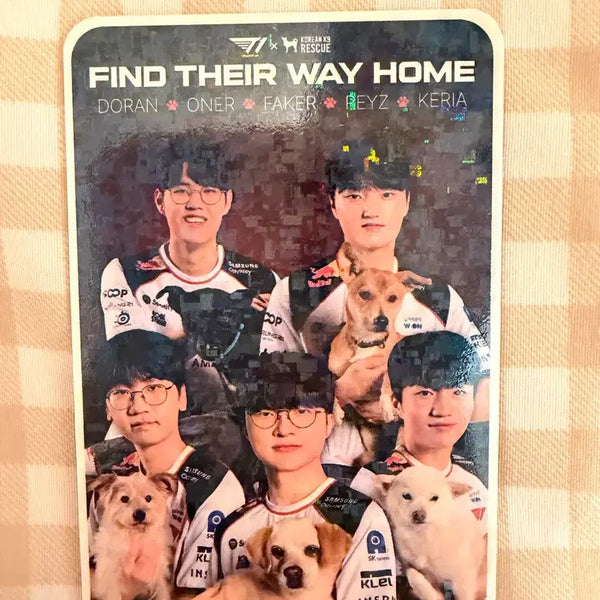 [BUNJANG] T1 Home Ground Photocard / 티원 Home Ground T1 포카