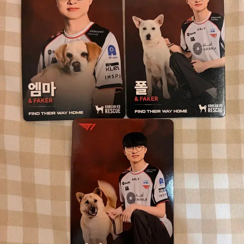 [BUNJANG] T1 Faker Photocard Set / 티원 Home Ground 페이커 포카 세트