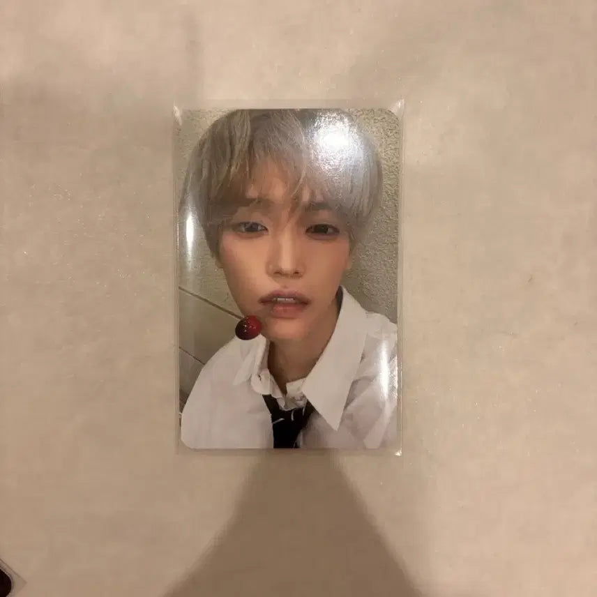 [BUNJANG] Zhang Han Yun Daydream Wanna Cherry Photocard / 장한음 데이드림 워너 체리 포토카드 포카 미공포 퍼스트뮤직 퍼뮤
