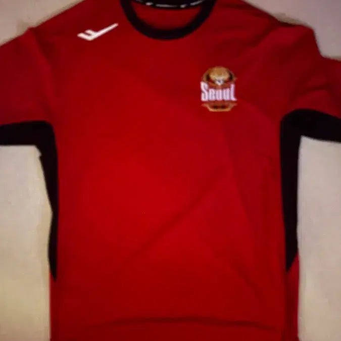 [BUNJANG] FC Seoul Training Short Sleeve Uniform / 프로산하 FC서울 트레이닝복 반팔