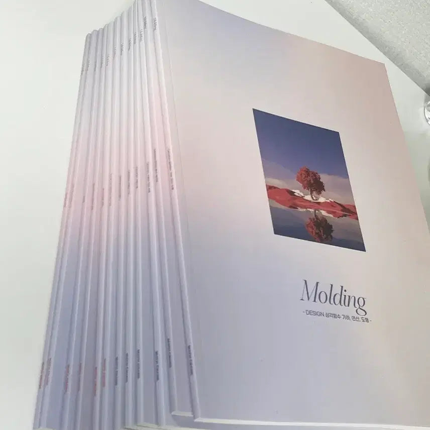 [BUNJANG] 2027 Times Talent Choi Ji-wook Arch Design Molding (12 Volumes) / 2027 시대인재 최지욱 아치 디자인 몰딩 [12권]