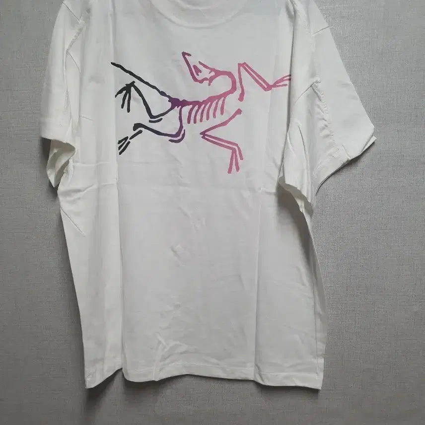 [BUNJANG] Arc'teryx Short Sleeve T-Shirt White XL / 아크테릭스 반팔 티셔츠 화이트xl